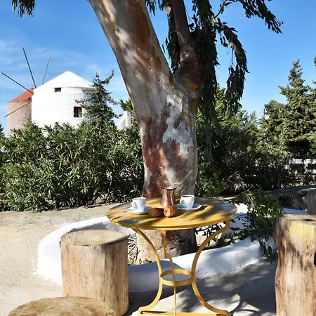 Anastasia's Windmill And Anastasia's *