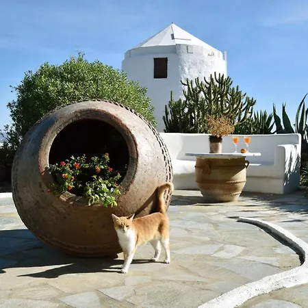 Anastasia's Windmill And Anastasia's Holiday home *