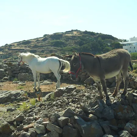 Vakantiehuis Anastasia's Windmill And Anastasia's Plaka (Milos)